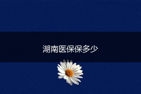 湖南医保保多少