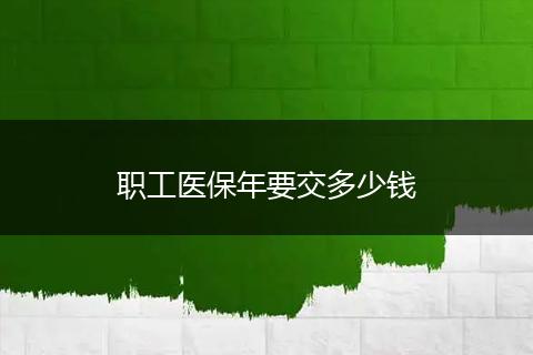 职工医保年要交多少钱
