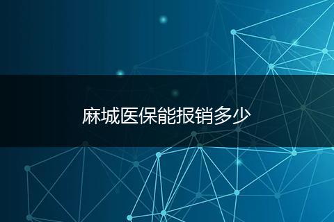 麻城医保能报销多少