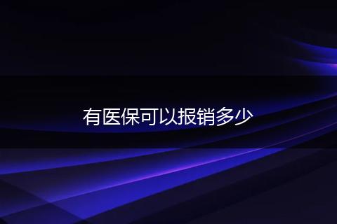 有医保可以报销多少