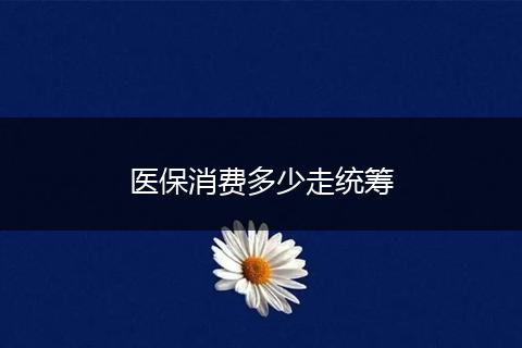 医保消费多少走统筹