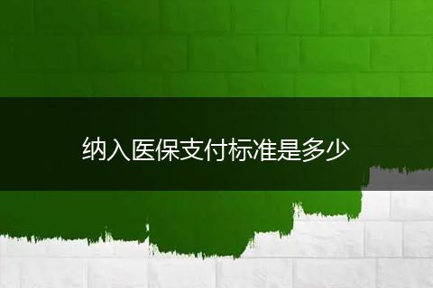纳入医保支付标准是多少