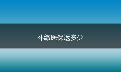 补缴医保返多少