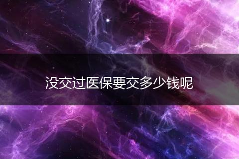 没交过医保要交多少钱呢