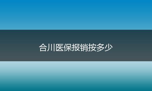 合川医保报销按多少