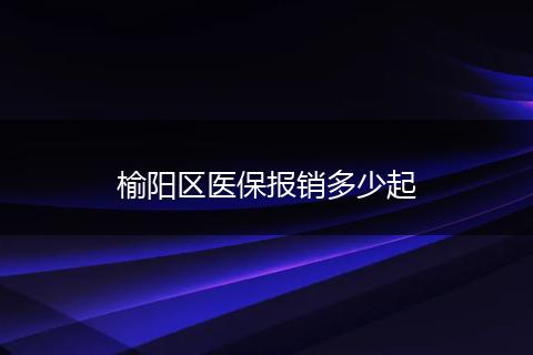 榆阳区医保报销多少起