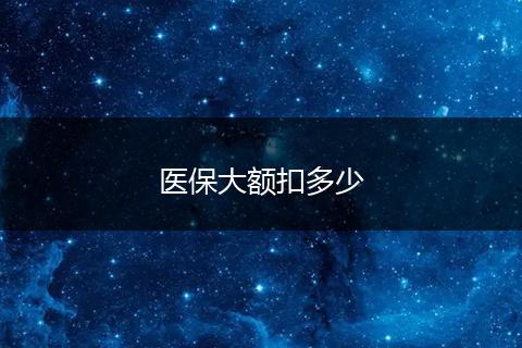 医保大额扣多少