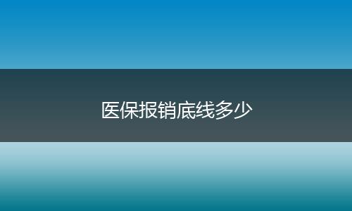 医保报销底线多少