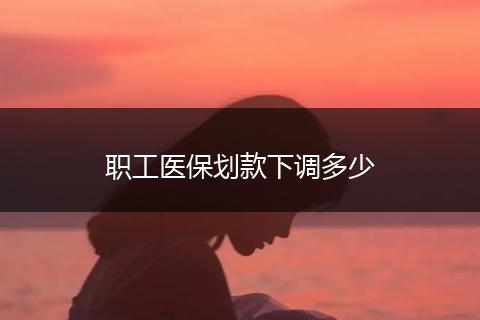 职工医保划款下调多少