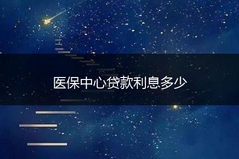医保中心贷款利息多少