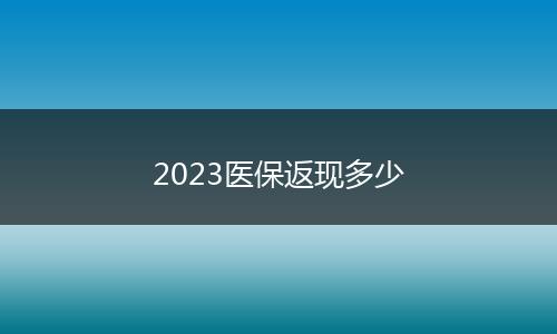 2023医保返现多少