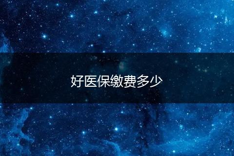 好医保缴费多少