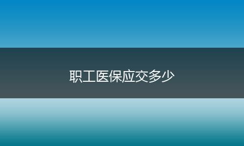 职工医保应交多少