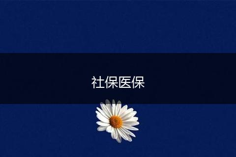社保医保