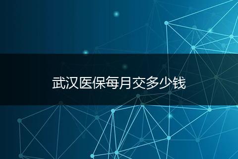 武汉医保每月交多少钱