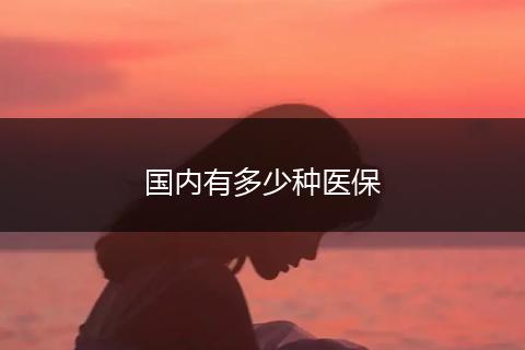 国内有多少种医保