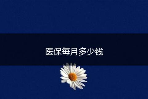 医保每月多少钱