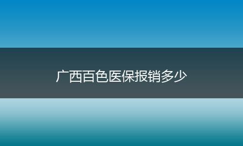 广西百色医保报销多少