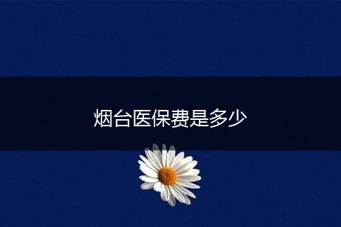 烟台医保费是多少