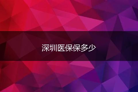 深圳医保保多少