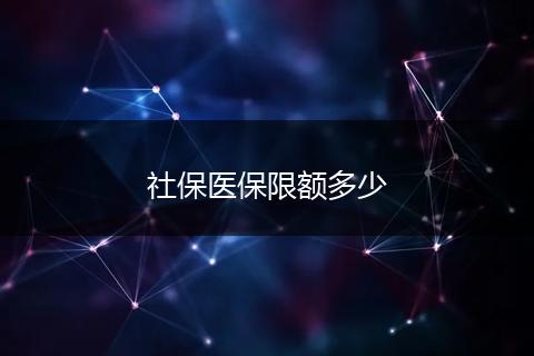 社保医保限额多少