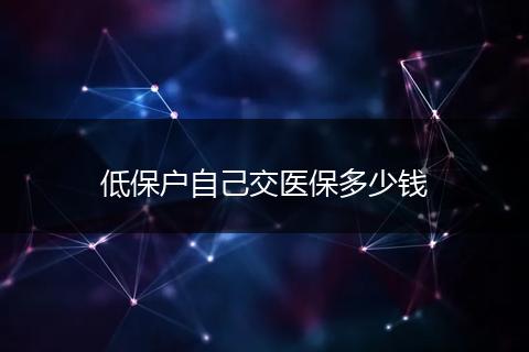 低保户自己交医保多少钱