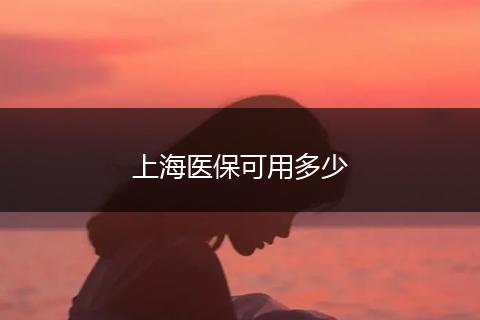 上海医保可用多少