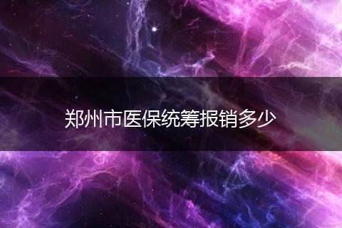 郑州市医保统筹报销多少