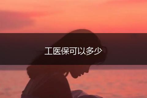 工医保可以多少