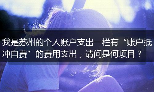 我是苏州的个人账户支出一栏有“账户抵冲自费”的费用支出，请问是何项目？