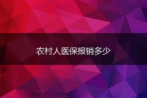 农村人医保报销多少