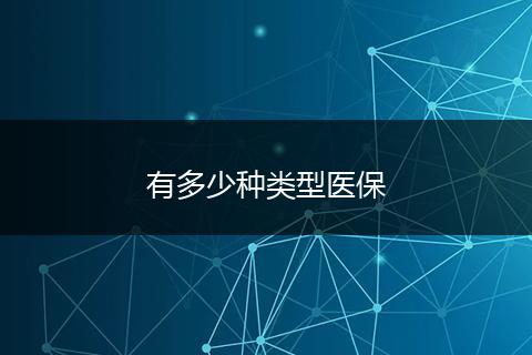 有多少种类型医保