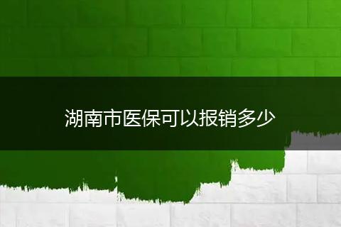 湖南市医保可以报销多少