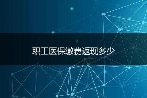 职工医保缴费返现多少