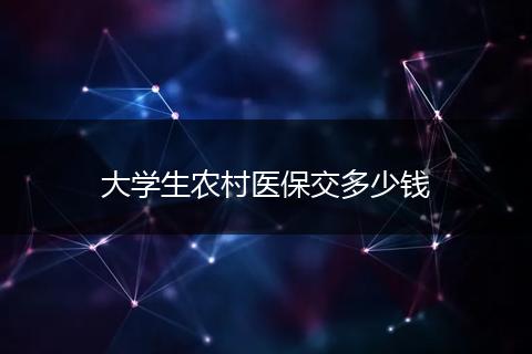 大学生农村医保交多少钱