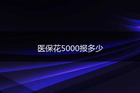 医保花5000报多少