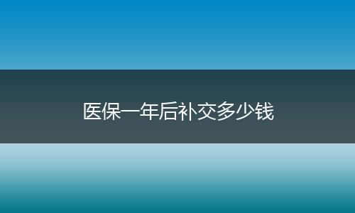 医保一年后补交多少钱