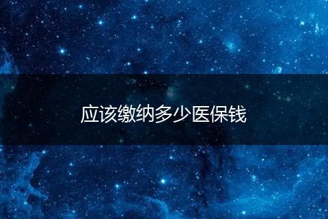 应该缴纳多少医保钱