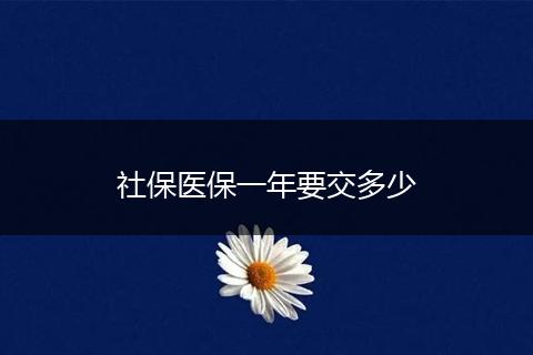 社保医保一年要交多少