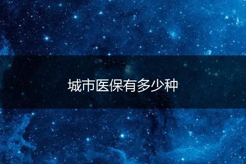 城市医保有多少种