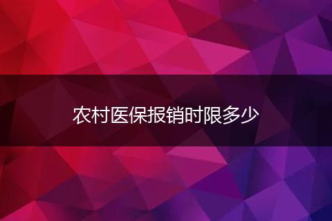 农村医保报销时限多少