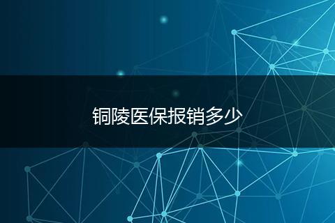 铜陵医保报销多少
