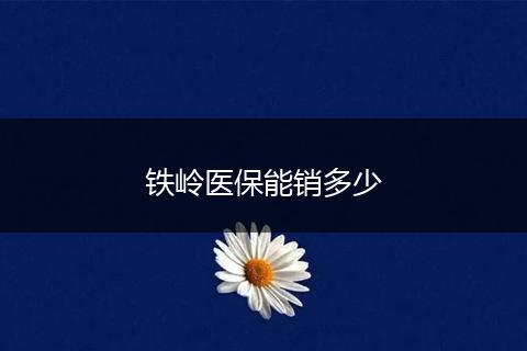 铁岭医保能销多少