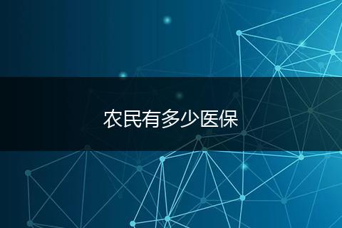 农民有多少医保