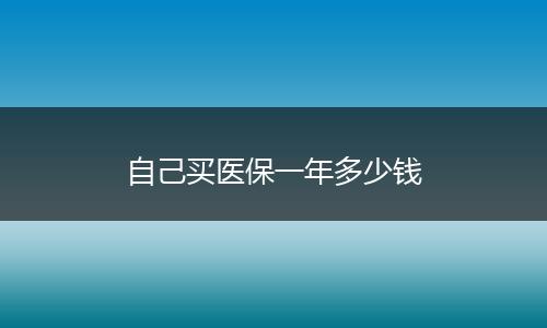 自己买医保一年多少钱