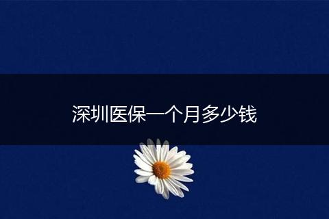 深圳医保一个月多少钱