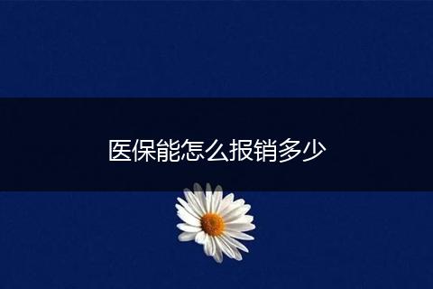 医保能怎么报销多少