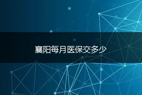 襄阳每月医保交多少