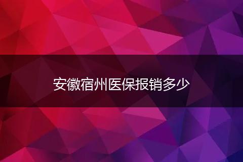 安徽宿州医保报销多少