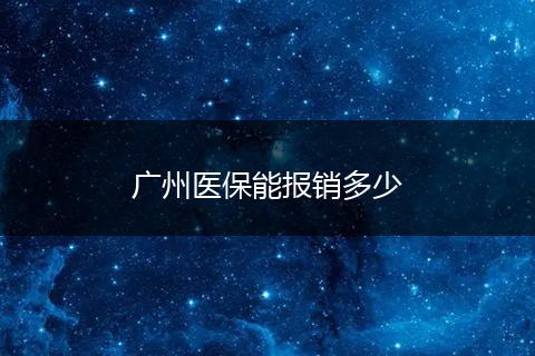 广州医保能报销多少